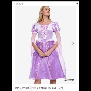 Disney Rapunzel Costume